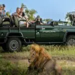 Game drives are perfect for Big 5 spotting.