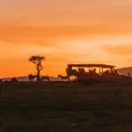 Say good bye to the heat of the day with a glorious sundowner game drive.