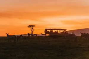 Say good bye to the heat of the day with a glorious sundowner game drive.