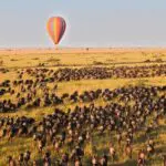 Hot air balloon safaris for aerial tours of the Great Migration.