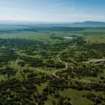 Witness the expansive Maasai Mara.
