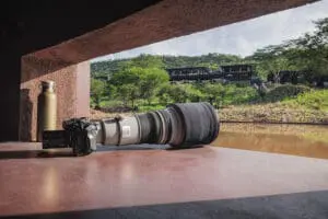 A photographic hide gets you close to the wildlife visiting the waterhole in front of the lodge. 