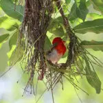 Bird watching is a popular pastime here. 