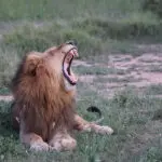 Incredible wildlife sightings. 
