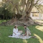 Spier is well-known of its iconic picnics. 
