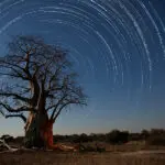 Estelas de estrellas sobre un baobab en Botsuana.