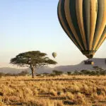 Safaris en globo aerostático en el Parque Nacional del Serengeti, Tanzania | Go2Africa