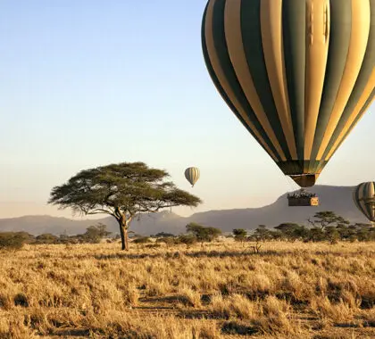 Safaris en globo aerostático en el Parque Nacional del Serengeti, Tanzania | Go2Africa