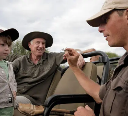 Disfrute de safaris y actividades en familia | Madikwe Safari Lodge