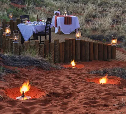 Geniet van maaltijden in het wild. 