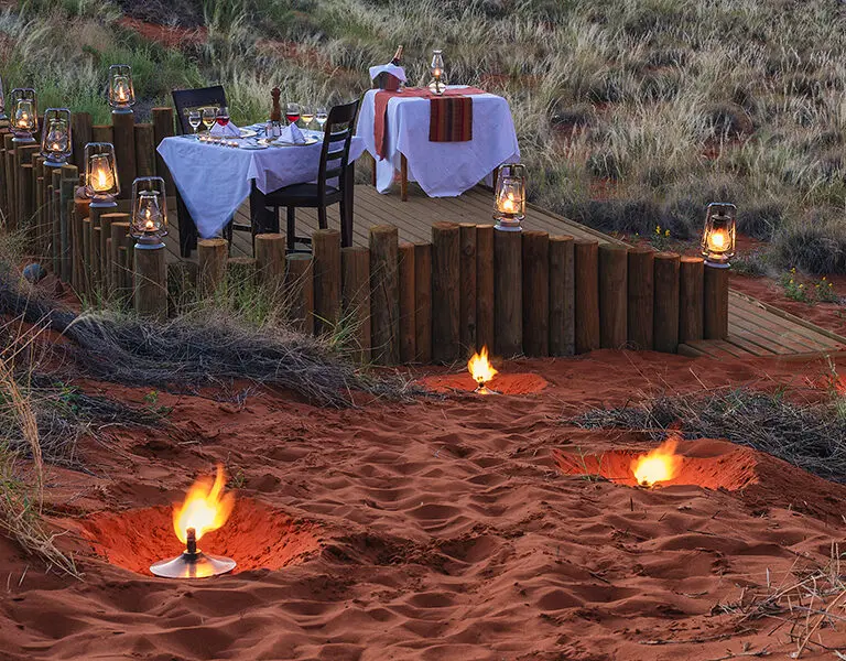 Enjoy meals in the wild. 