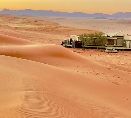 Afstandelijker kan het niet. 