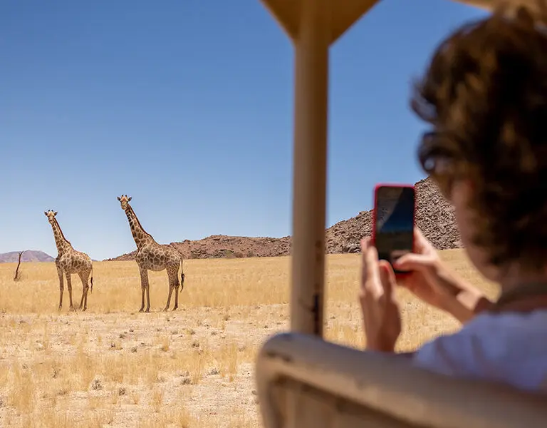 Exceptional wildlife encounters. 