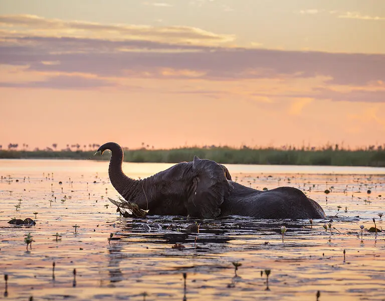 This is where you can practice your photography skills. 