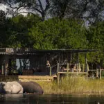 An armchair safari experience, when the wildlife come right to you. 