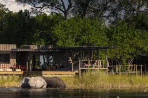 An armchair safari experience, when the wildlife come right to you. 