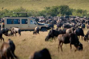 Contemple uno de los mayores espectáculos de la naturaleza: la migración de los ñus | Go2Africa