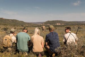 Get up close with big game on walking safaris. 