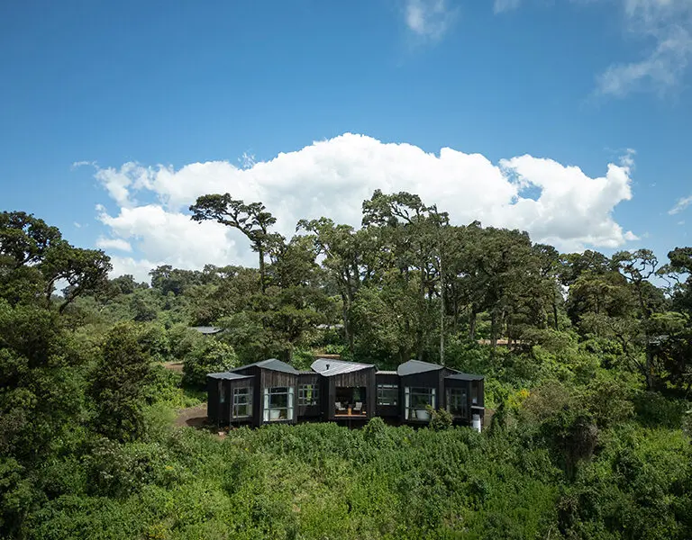 Lemala Osonjoi Lodge is nestled among lush greenery (rendered image).