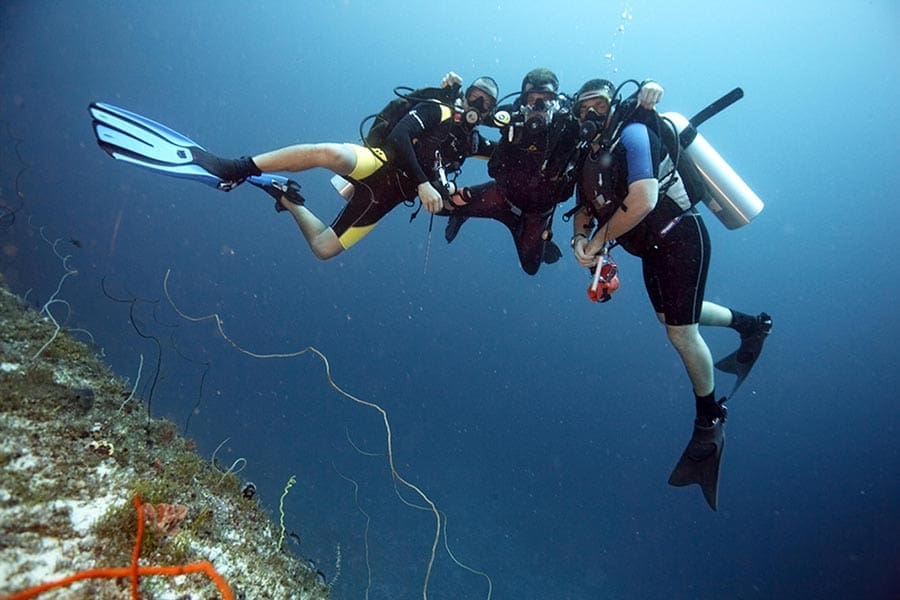 33-divers-blue-wall-zanzibar-2-4