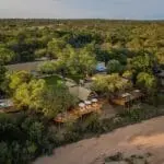 Llevar a la familia de safari puede ser la experiencia más gratificante. 