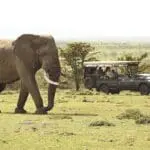 Expect exceptional wildlife sightings, including Africa's prized Big Five. 