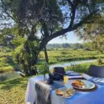 Breakfast is best enjoyed in the wild embrace of nature.