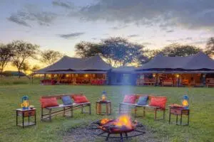 The perfect place to share stories of the adventures of the day. 