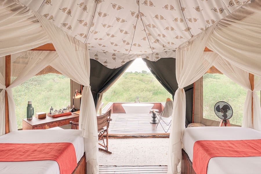 feline-fields-lodge-bush-shuite-room-_
