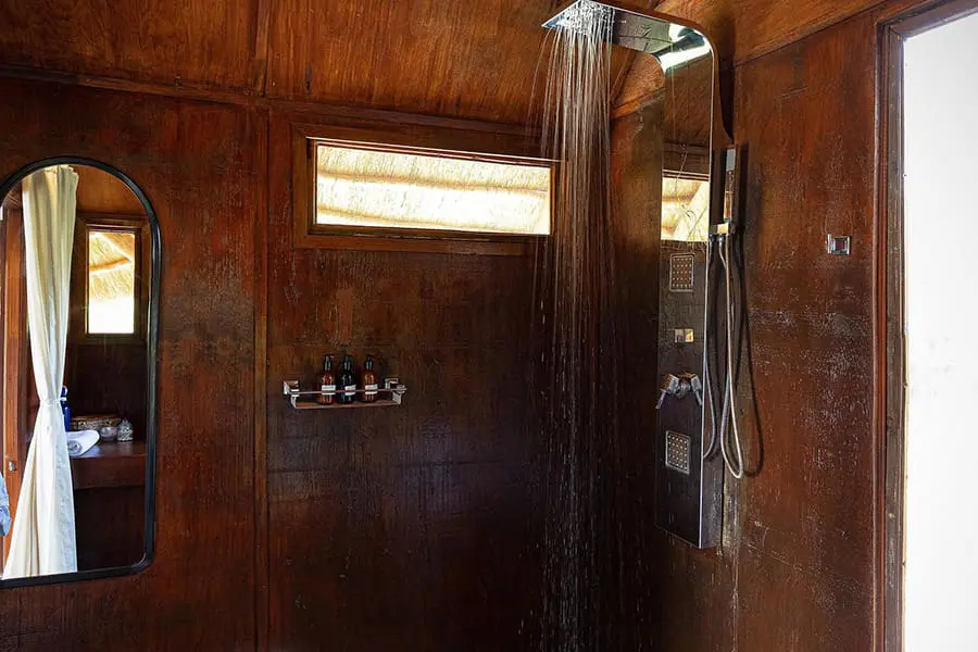 feline-fields-lodge-bush-suite-walk-in-massage-shower