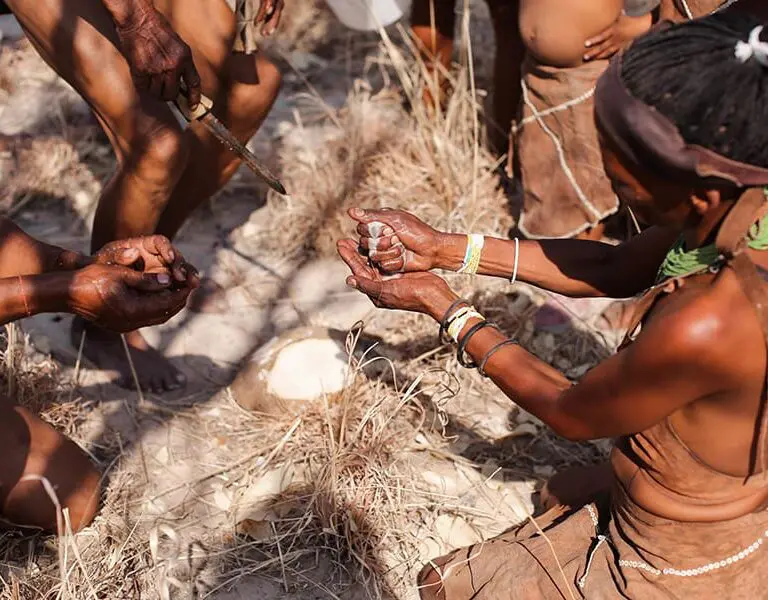 San Bushmen educational experience.