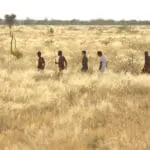 Educatieve bushwandelingen met gidsen van de San Bosjesmannen.