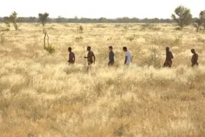 Educational bush walks with San Bushmen guides.
