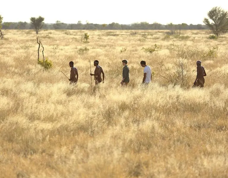 Educational bush walks with San Bushmen guides.