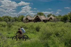 feline-fields-lodge-cycling