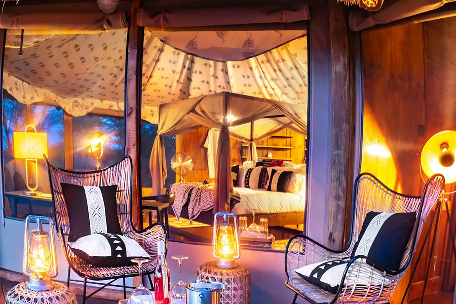 feline-fields-lodge-family_villa_4