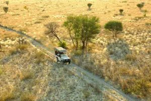 Game drives in the Kalahari.