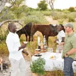 Profitez d'un safari à cheval.