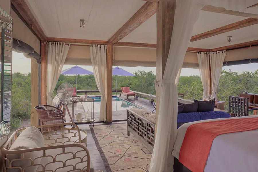 feline-fields-lodge-pool-suite-4