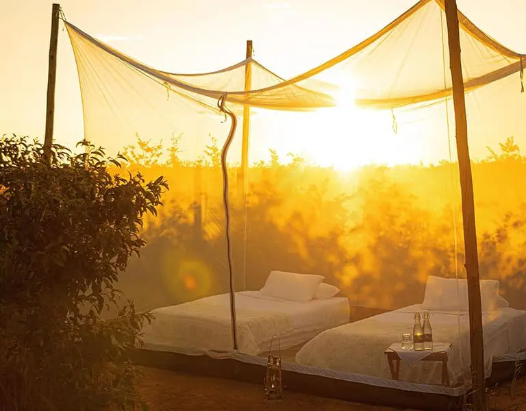 Add on a sleep out experience under the stars.