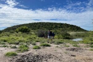 Explore the depths of the reserve on foot.