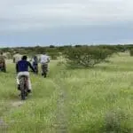Get closer to nature on a unique eBike safari.