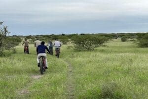 Get closer to nature on a unique eBike safari.