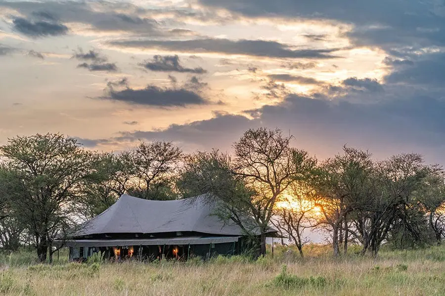 honeymoon-tent