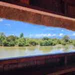 The bird-watching hide.
