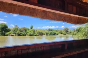 The bird-watching hide.