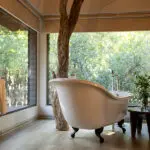 Bathtub with a view.