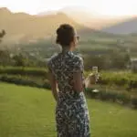 Explore los cuidados jardines.