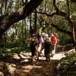 Disfrute de las excursiones en Legendary Lodge. 