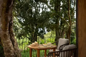 Tea on the viewing deck. 